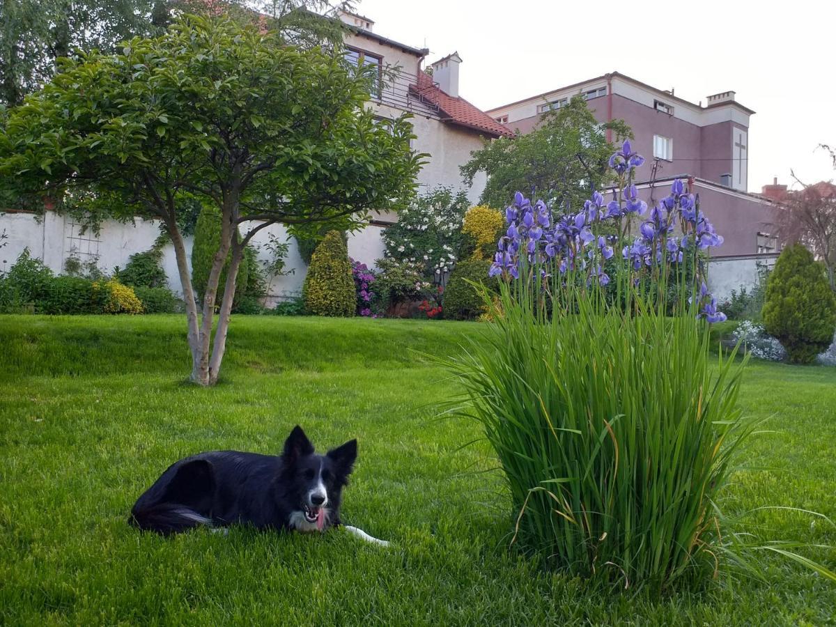 Apartment Kwatera Nad Morzem Orlowo *